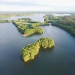 Srebrny Klon