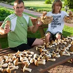 Фермерский дом Srebrny Klon